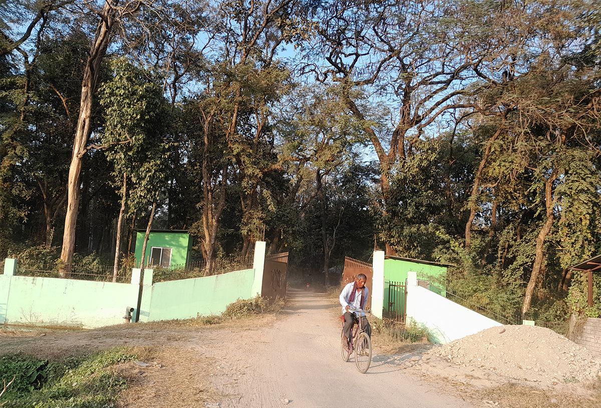 Dhanpal-Gadhi-Jungle.jpg