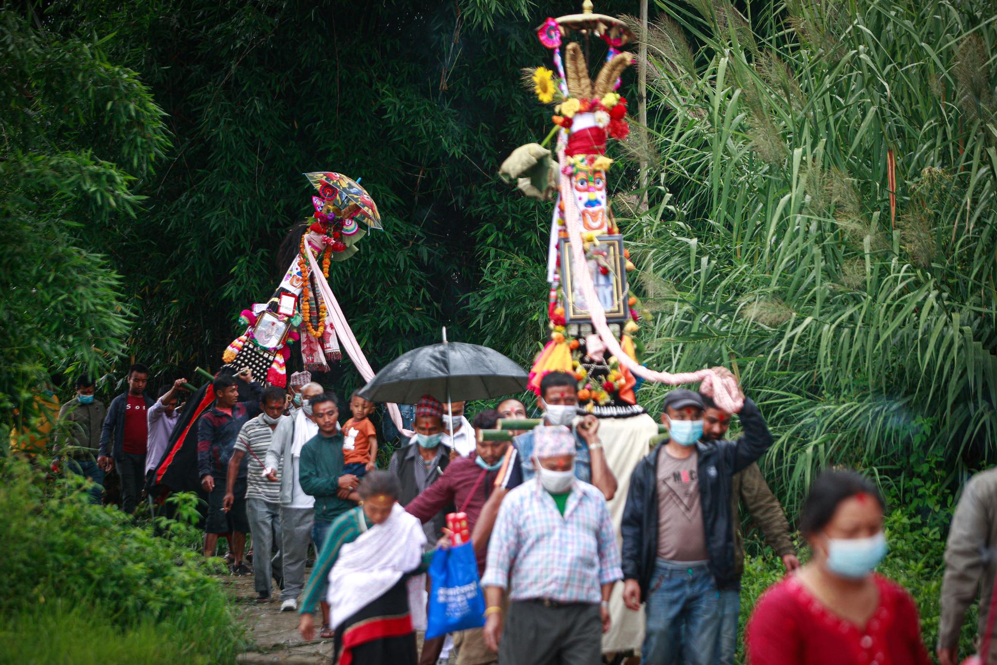 तस्वीरमा गाईजात्राको रौनक