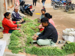 तरकारीको मूल्य एकचौथाइले बढ्यो, खाद्यपदार्थको मूल्यवृद्धि दर उच्च