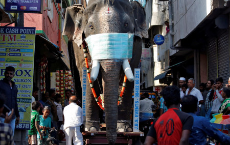 भारतमा मृत्युदर बढ्यो, एकैदिन ५९ जनाको मृत्यु