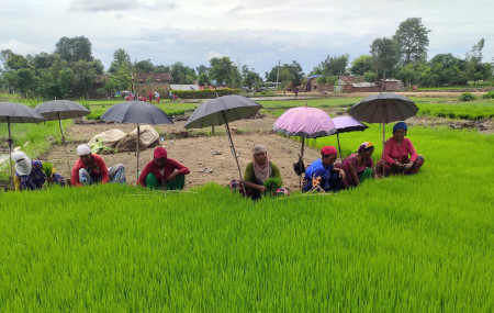 भूमि ब्याङ्कको नाममा किसानलाई घात, जमीनदारलाई साथ !