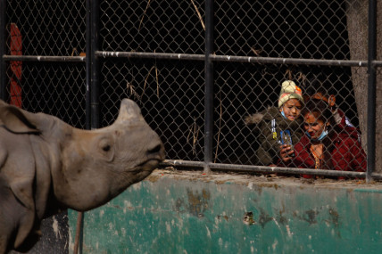 नौ महीनापछि खुल्यो चिडियाखाना (तस्वीरहरू)