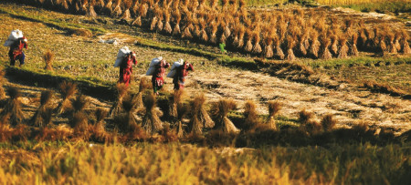 जमीनको असमानता र बहुबहिष्करण