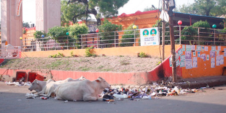 स्थानीय चुनावमा फेरिए मधेशका मुद्दा