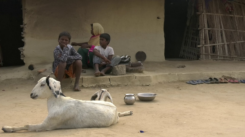 पाँच वर्षमा १५ प्रतिशतमा झर्ला त मधेशको गरीबी?