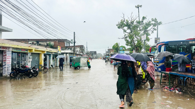 मनसुन सकिने वेलाको झरीले धानबालीमा असर